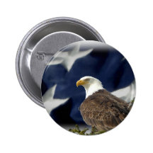Eagle Star Pins