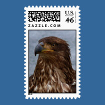 Eagle Stare stamps