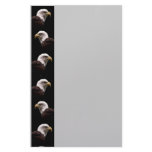 Eagle Stationery