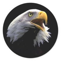 Eagle stickers by REDINARD Eagle stickers
