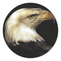 Eagle stickers