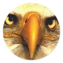Eagle stickers