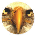 Eagle stickers