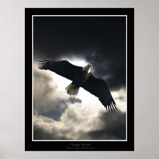 "Eagle Storm"  Poster