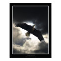 "Eagle Storm" Poster posters by HANDPRINTS "Eagle Storm" Poster posters