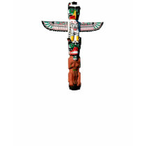 Eagle Totem Collection t-shirts