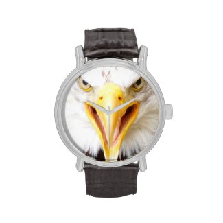 Eagle watch.