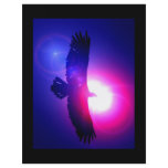 Eagle Wings - Eagle in Flight Flyer Design