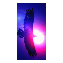 Eagle Wings - Eagle in Flight photo cards