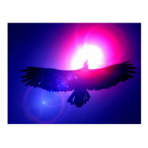 Eagle Wings - Eagle in Flight Postcards