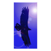 Eagle Wings Photo Card