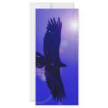 Eagle Wings Rack Card