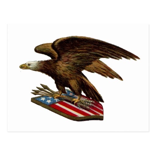 Eagle with Arrows on Shield Postcard Zazzle