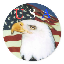Eagle with flag, U, S, A scker stickers