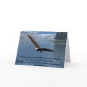 Eagle with Scripture cards