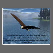Eagle with Scripture postcards