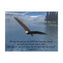 Eagle with Scripture postcards
