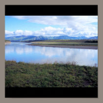 eagle yukon river (2) posters