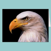 Eagles cards by REDINARD Eagles cards