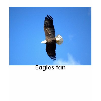 Eagles fan/Go Eagles ! T-shirt by nwillens