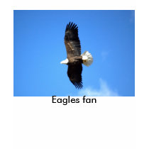 Eagles fan/Go Eagles ! t-shirts by nwillens Eagles fan/Go Eagles ! t-shirts