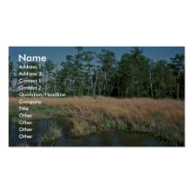 Eagles Nest Area ,Taylor's Island Business Card