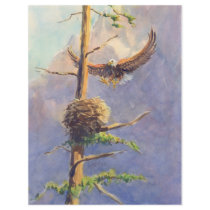 EAGLE'S NEST by SHARON SHARPE Full Color Flyer