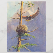 EAGLE'S NEST by SHARON SHARPE Full Color Flyer