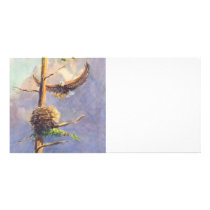 EAGLE'S NEST by SHARON SHARPE photo cards