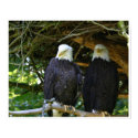 Eagles posters