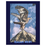Eagles Wings - Isaiah 40:31 flyers