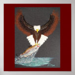 eaglesrainbow poster