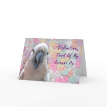 Ear Candy cards