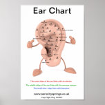 Ear Chart Poster