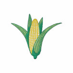 Ear Of Corn