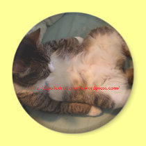 Earl Blob Magnet magnets