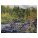 Early Autumn Custom Flyer