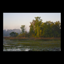 Early Autumn Sunlight print posters