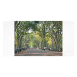 Early Autumn the Mall Custom Photo Card