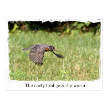 Early Bird Gets The Worm Post Card