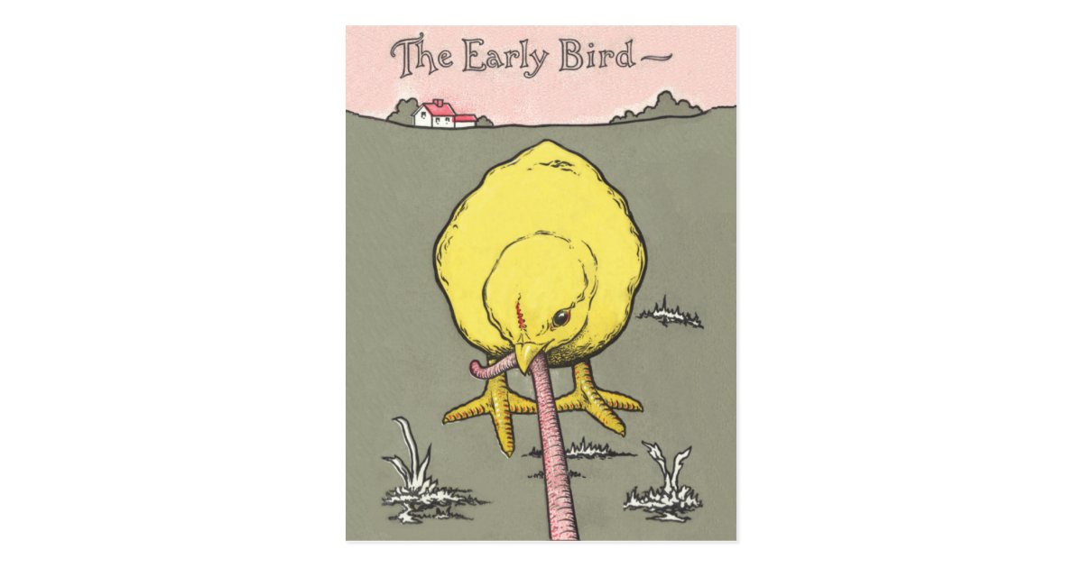 Early Bird Real Estate Prospecting Postcard Zazzle