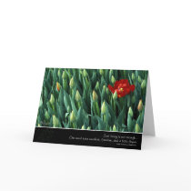 Early Bloomer, by Anna Wight Greeting Card