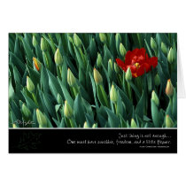 Early Bloomer, by Anna Wight cards