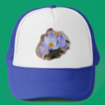 Early Crocus ~ hat hats