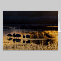 Early, Icy-Cold Morning cards