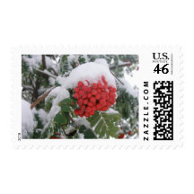 Early Montana Winter Stamp