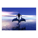 Early Morning Dolphins posters