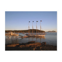 Early morning glow postcard