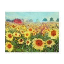 Early morning glow postcards by ginaayerssignore Early morning glow postcards