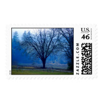 Early Morning on the Farm postage by trevorluckmanphoto Early Morning on the Farm postage